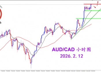 2026.2.12 图文交易计划：多头持续挺进 澳加持续向上