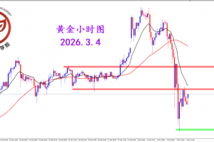 2026.3.4 图文交易计划：黄金大幅下行 短期波动极端