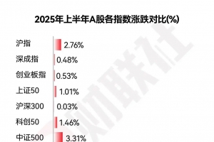 2025年中盘点-2025上半年十大牛熊股出炉