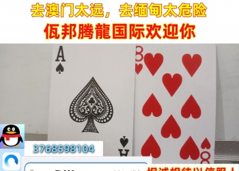 网纸「TL282.cc」腾龙公司怎么充值【2026第一财经】