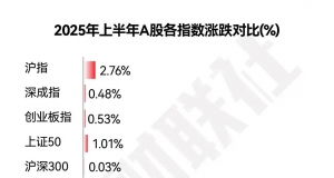 2025年中盘点-2025上半年十大牛熊股出炉