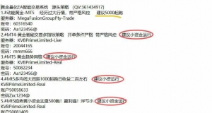 优质策略首选，感兴趣的欢迎私信[勾引]