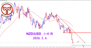 2026.2. 6 图文交易计划：纽美快速回落 短期走势偏弱