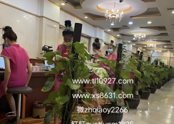 微【zh qiao y 2266】圣淘沙公司直属负责人怎么联系？