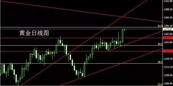 黄金.jpg