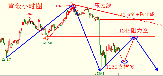 黄金4.png