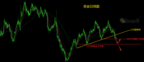 QQ图片1.png