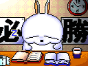必胜的兔子.gif