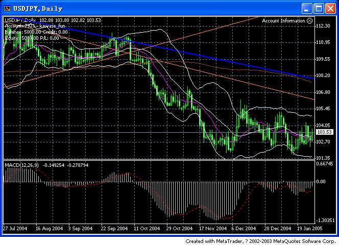 USDJPY050128.jpg