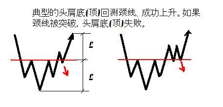 基本形态