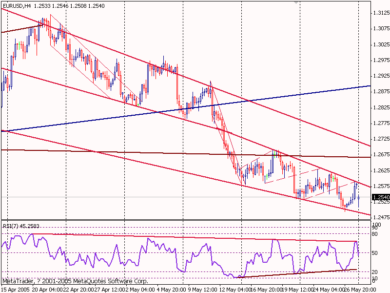 eur20050530.gif