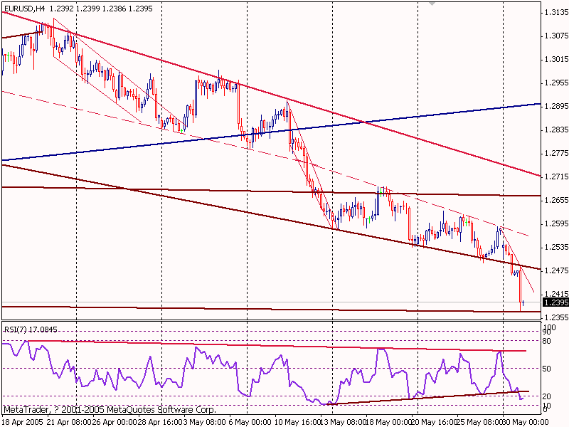eur20050531.gif