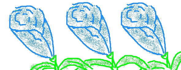 97.gif