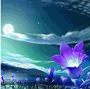 Snap8.gif