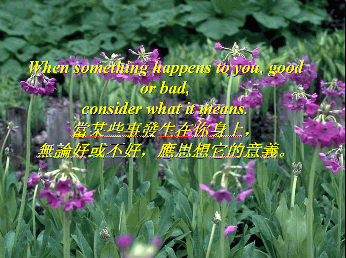 2.GIF
