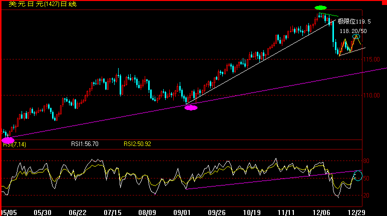 JPY(12-29).gif