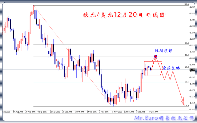 Mr.Euro胡豪欧元理财12月20日日线图.gif