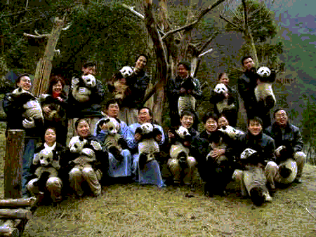 Img241246963.gif