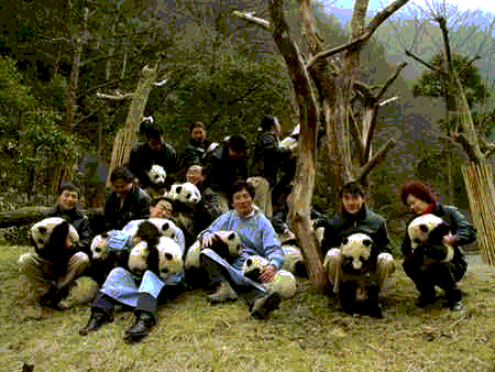 Img241246964.gif
