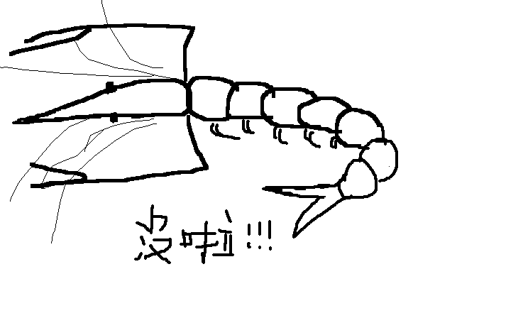 3.gif
