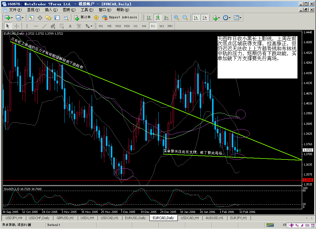 eurcad20060213d.gif