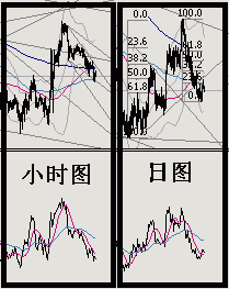 时空动量研究室走势分析报告.gif