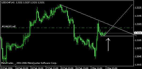 5.gif