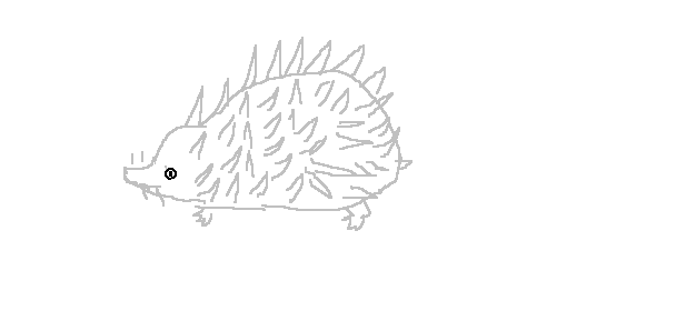 y4.gif