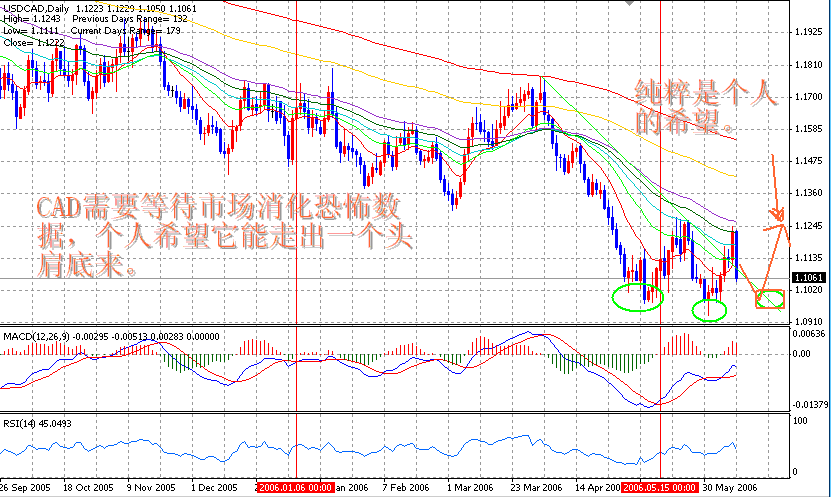 06-06-10CAD1D.gif
