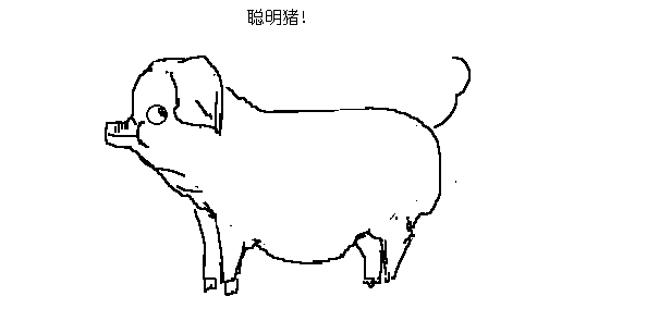2.gif