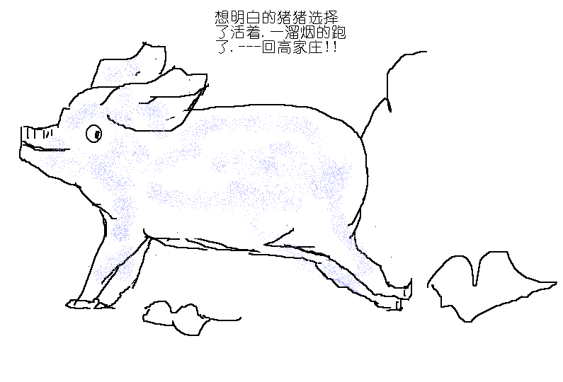 6.gif