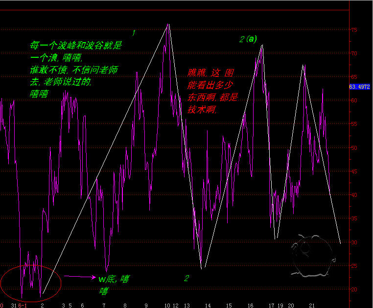 rsi.jpg