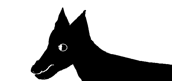 3.gif