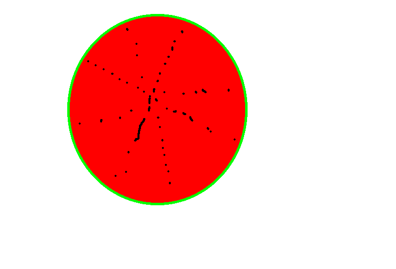 未命名.gif