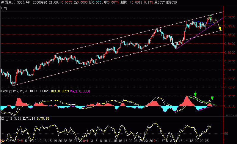 NZD300.GIF