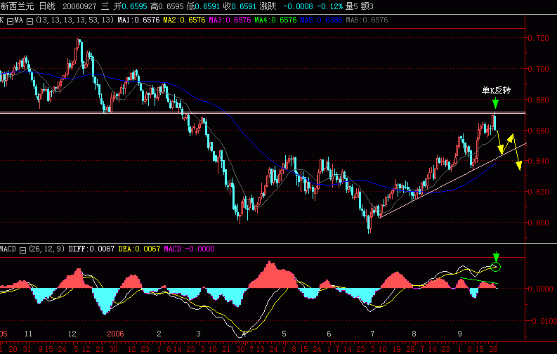 NZD.GIF