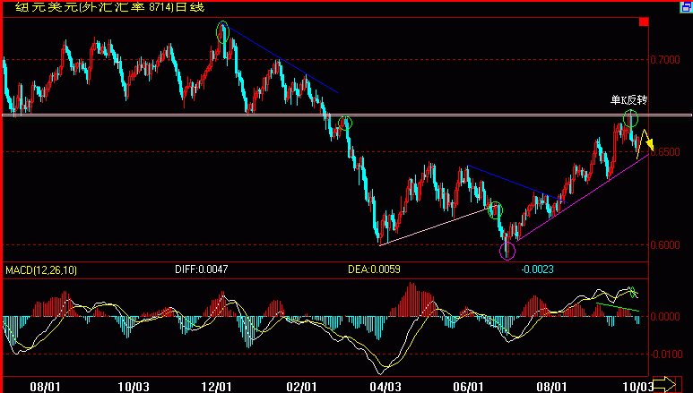 NZD.GIF