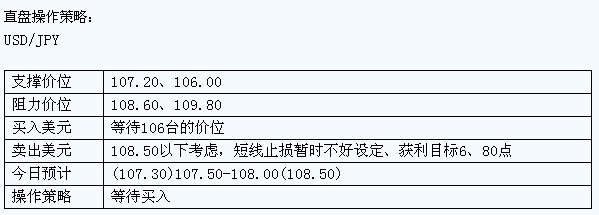 dp1.jpg
