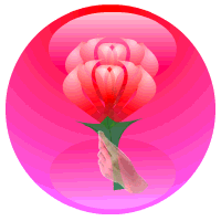 未命名.gif