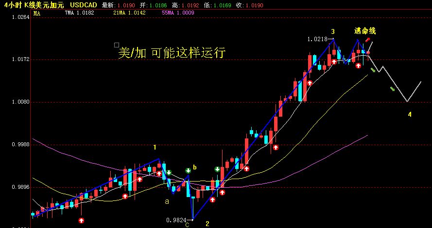 截屏000.jpg