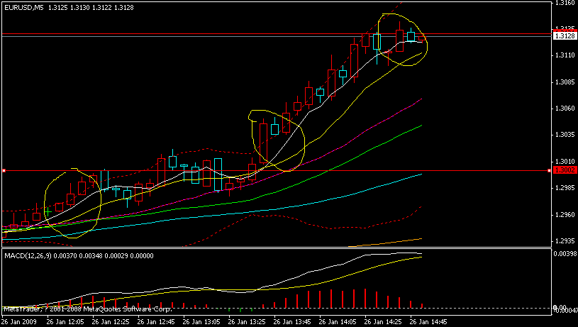 euro.gif
