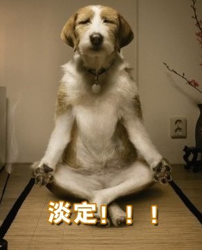 淡定.jpg