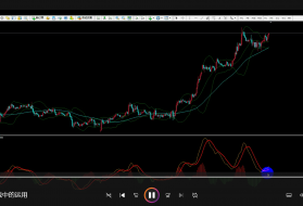 栾雪-布林带通道在实战的运用